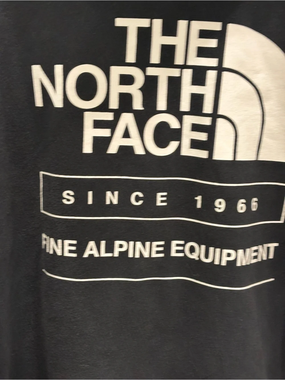 The North Face Men's Hooded Sweatshirt - Black with Alpine White Logo